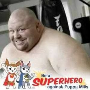 Meet your Posher, Bob